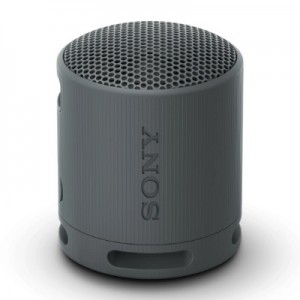 Sony SRS-XB100 可攜式無線揚聲器